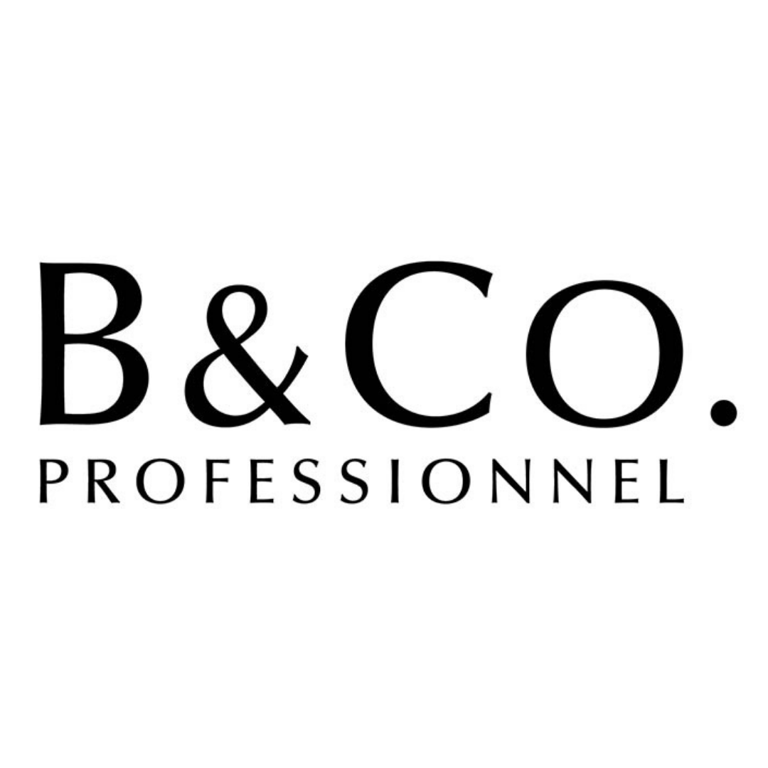 B&CoProfessional-logo
