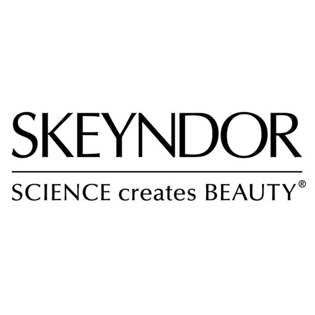 Skyendor-logo